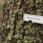 close-up-encouraging-writing-tree-trunk